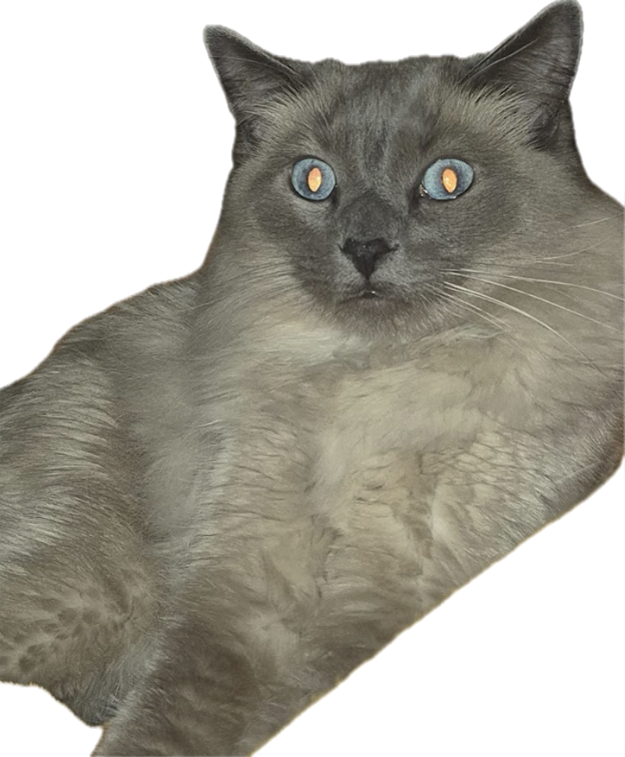 Cloudy with a chance of lasers.